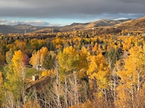Fall view from the balcony