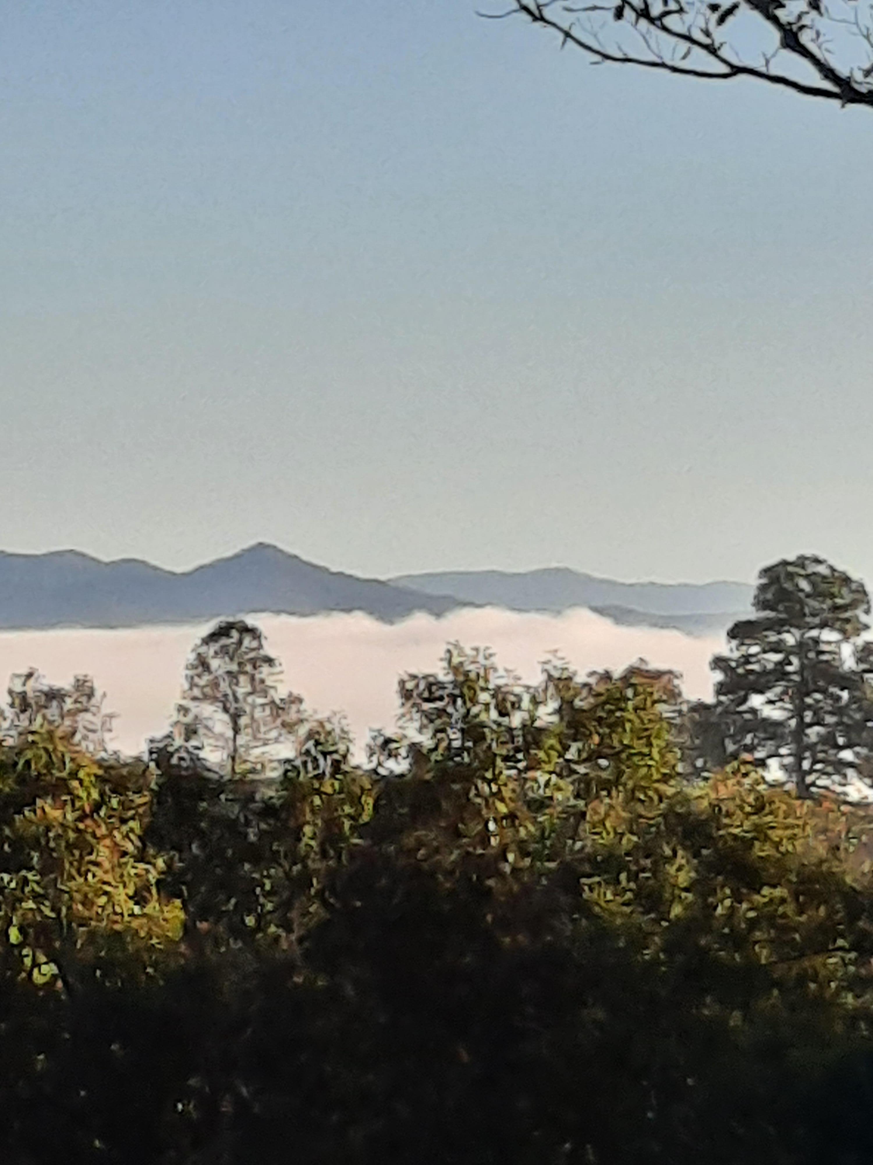 View from the deck of the cabin.