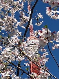 On a walking path outside my room