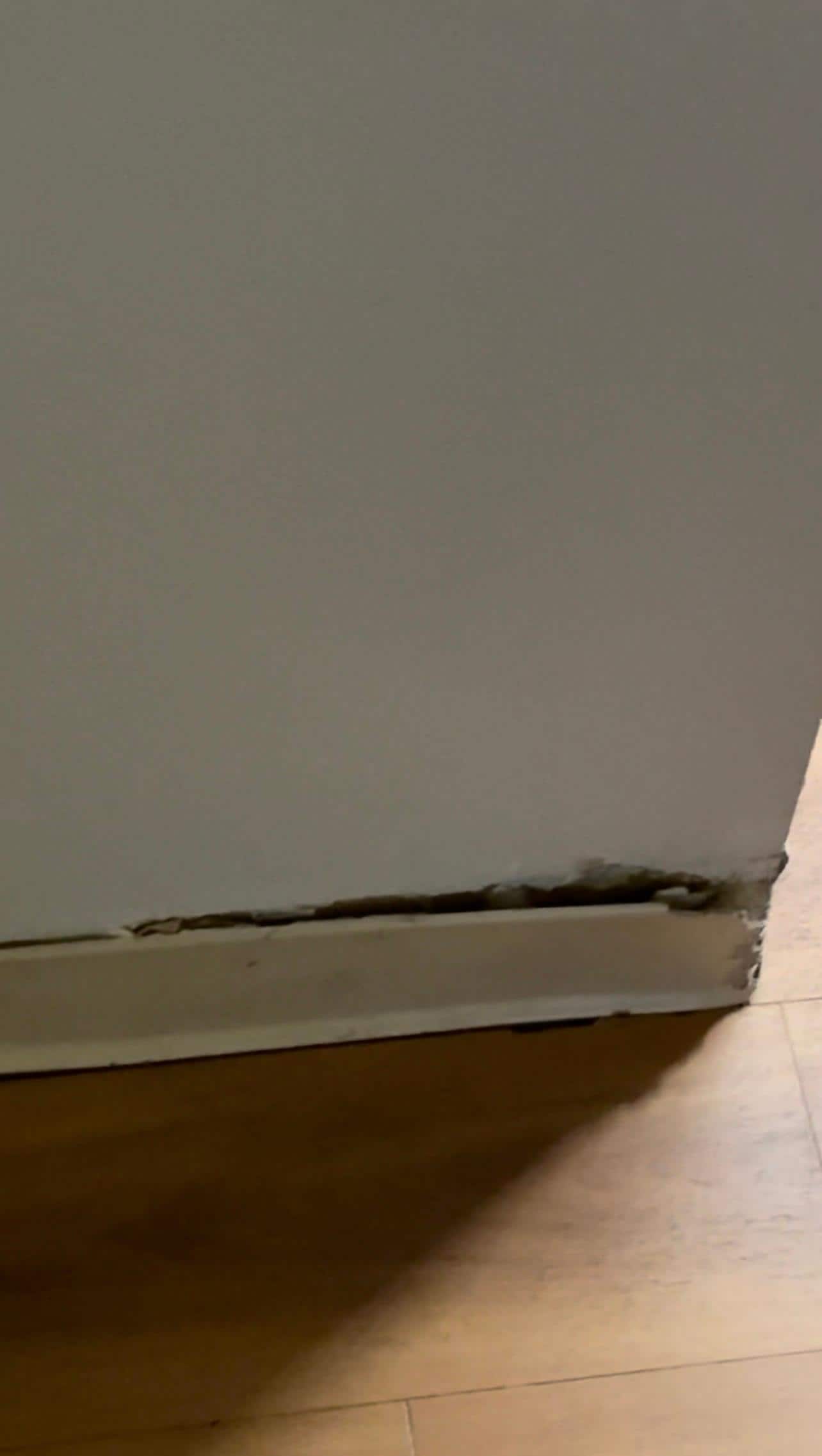 Description not needed