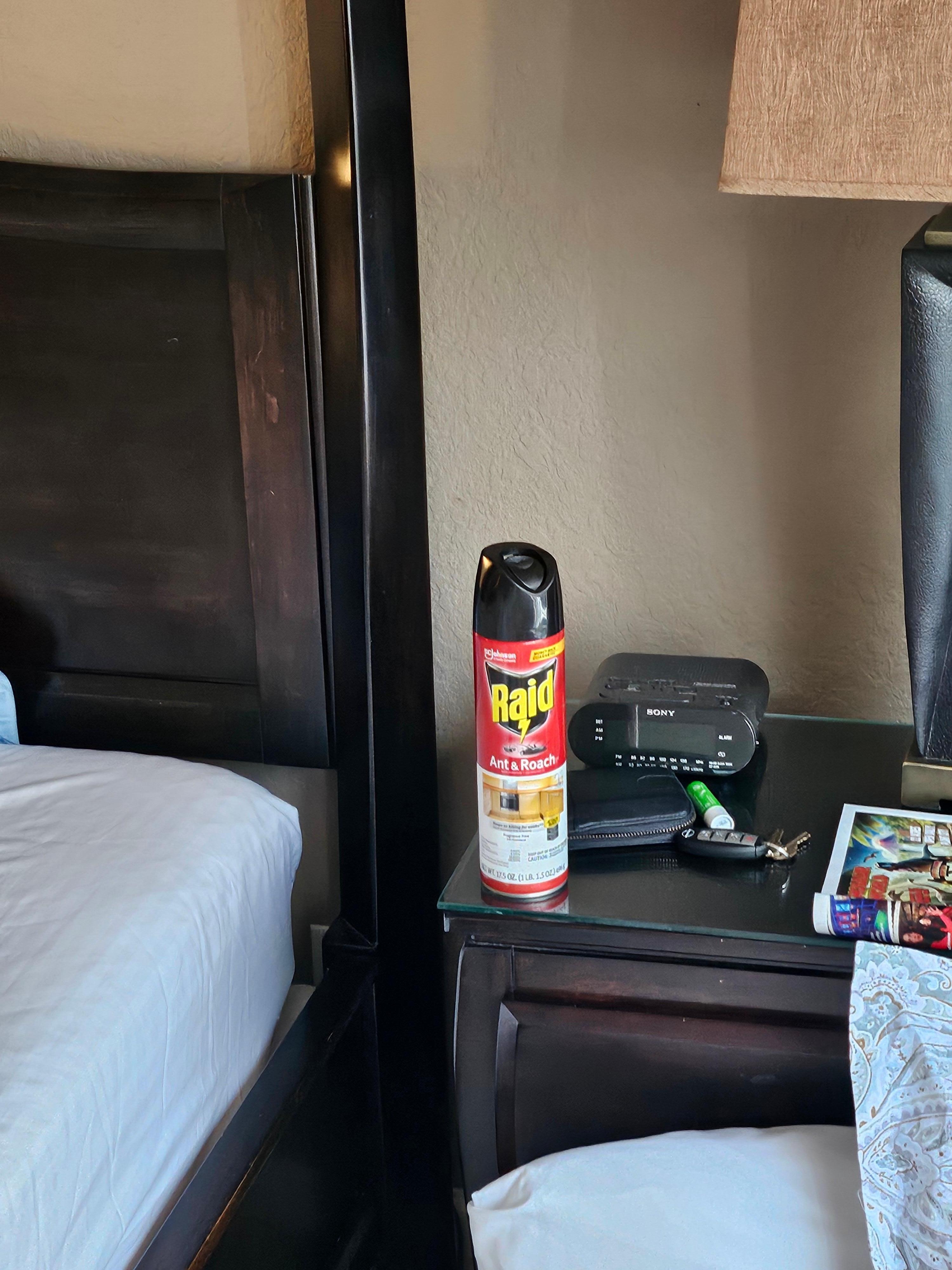 Sprayer bought from CVS only store open luck for us. This kept them a way from areas and killed others