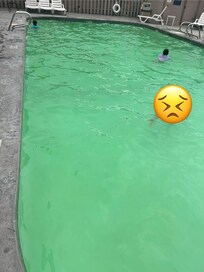 La piscina súper sucia. El agua parece que tenía mucho tiempo que no la limpiaban estaba verde el piso y los alrededores.
