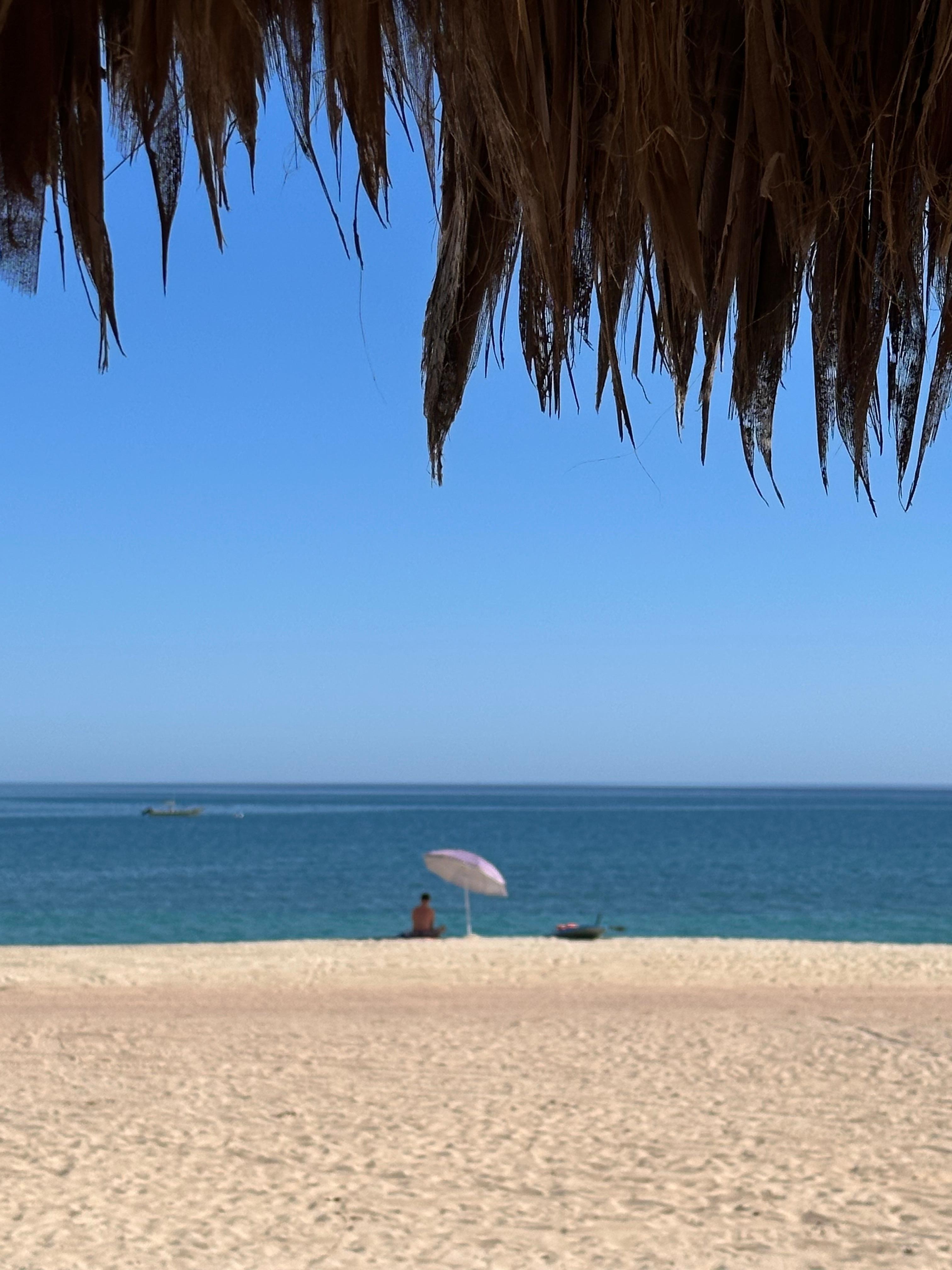 View from the patio. 