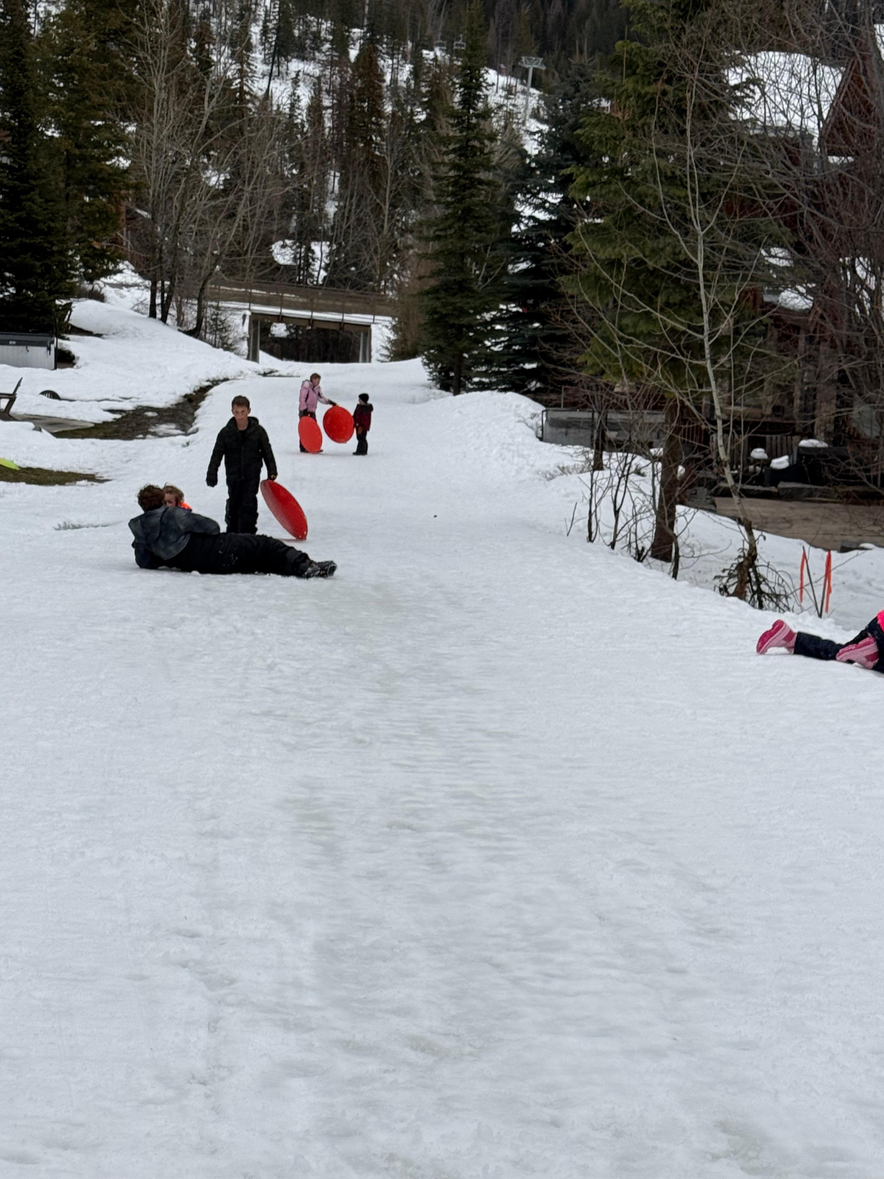 Sledding on the slope after the skiing closed - the kids were able to sled and we could all enjoy watching them from our home