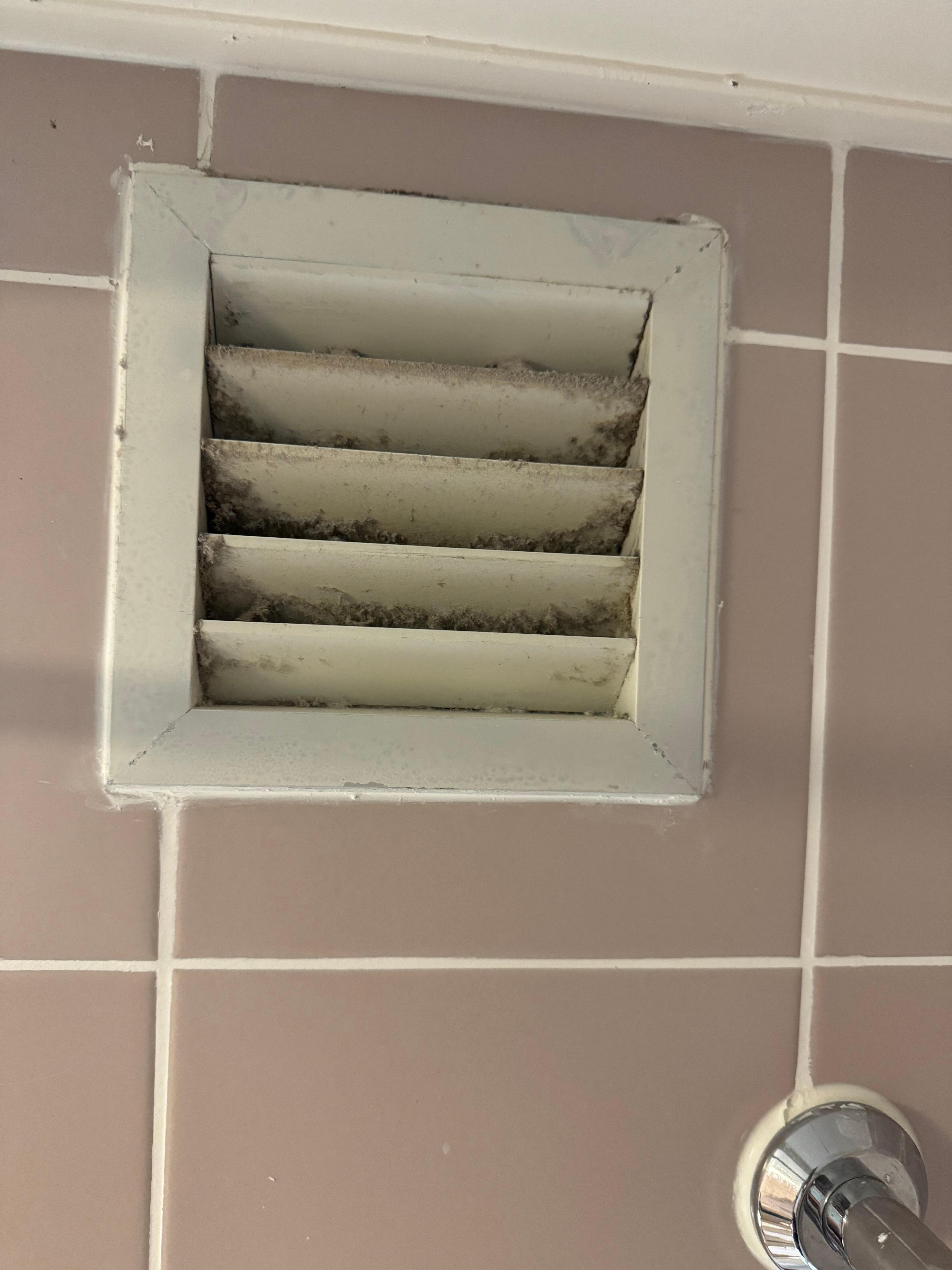 Bathroom vent, black mould build up 
