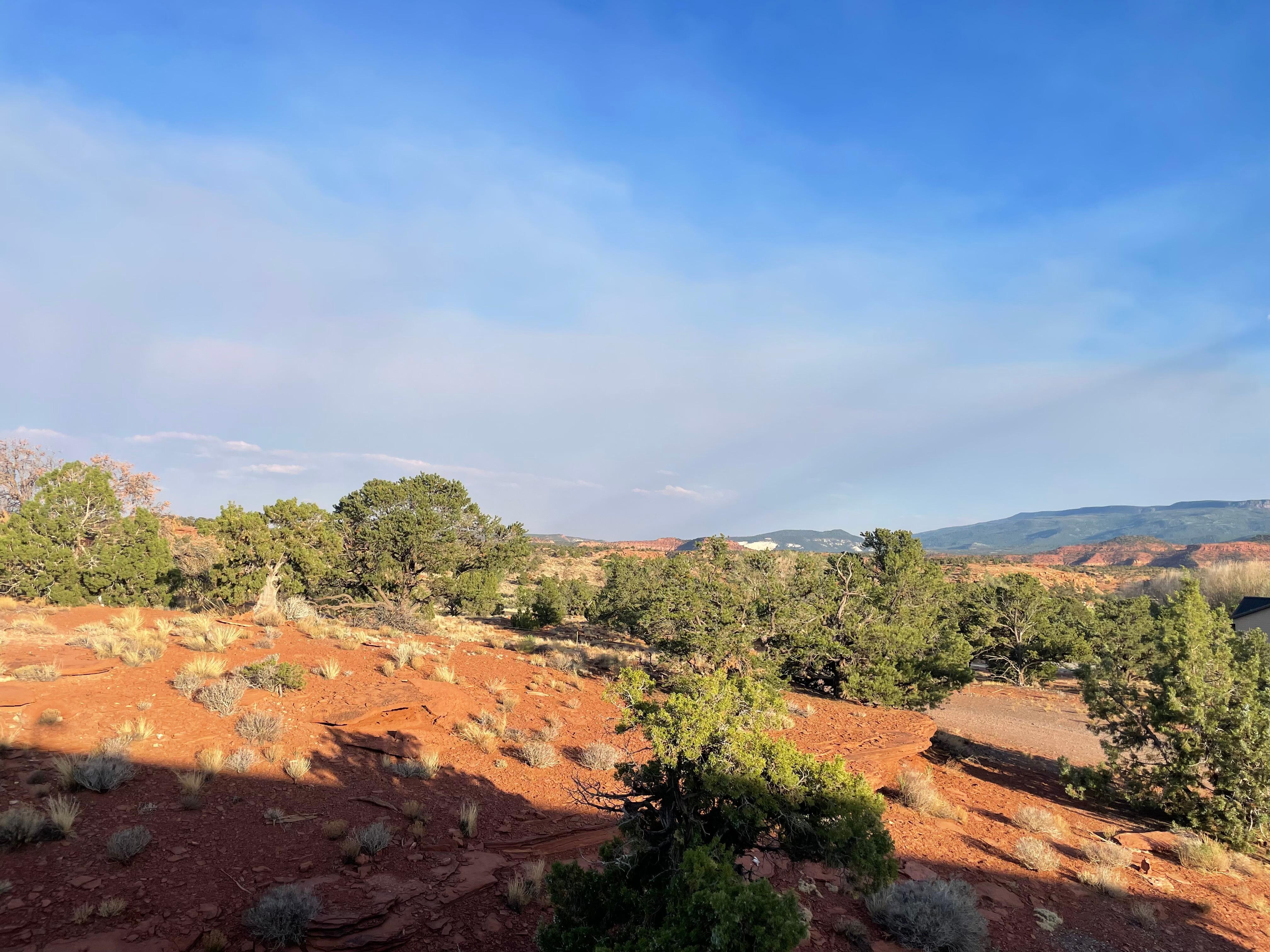 View from deck