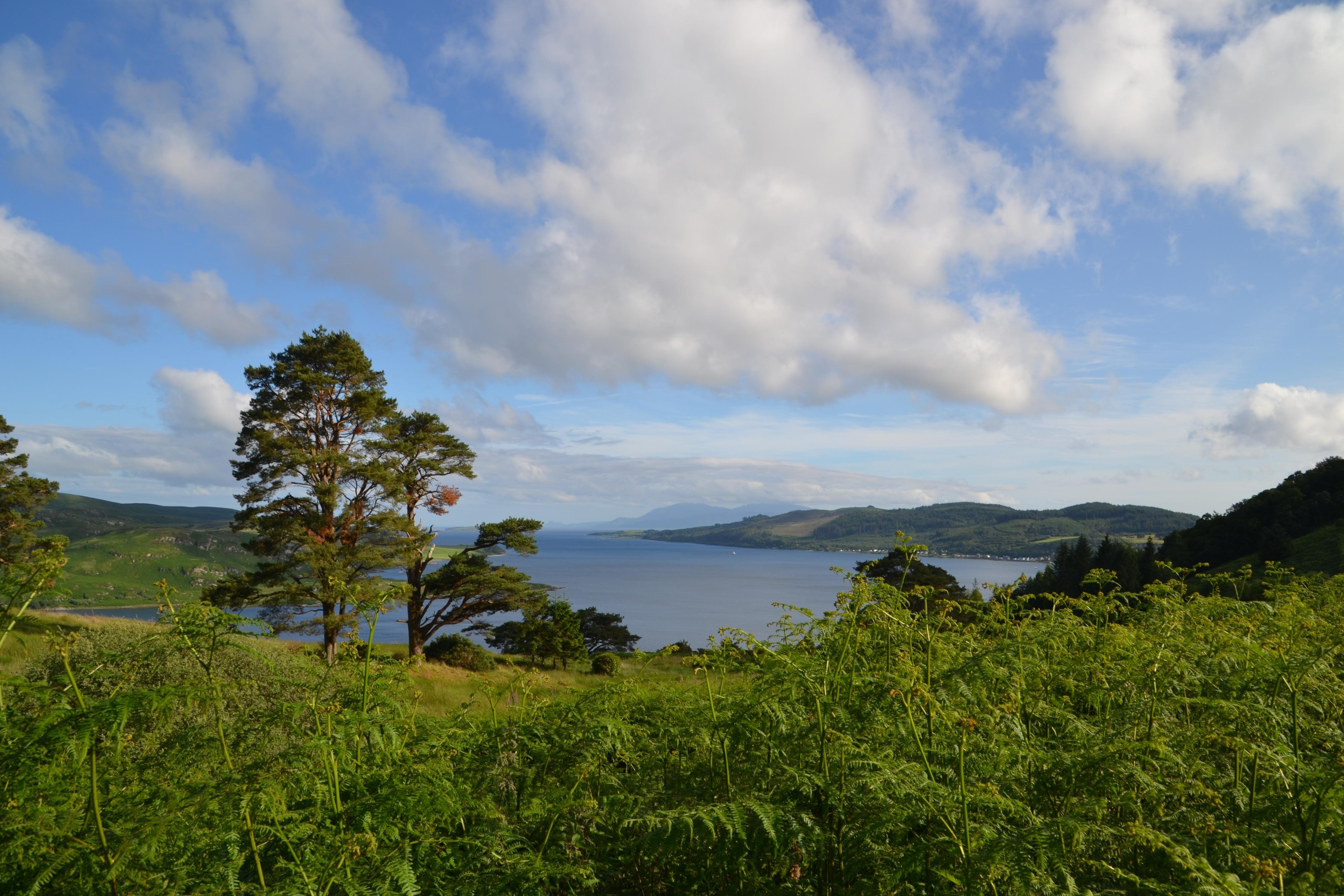 kyles of bute