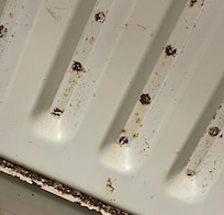 Rust