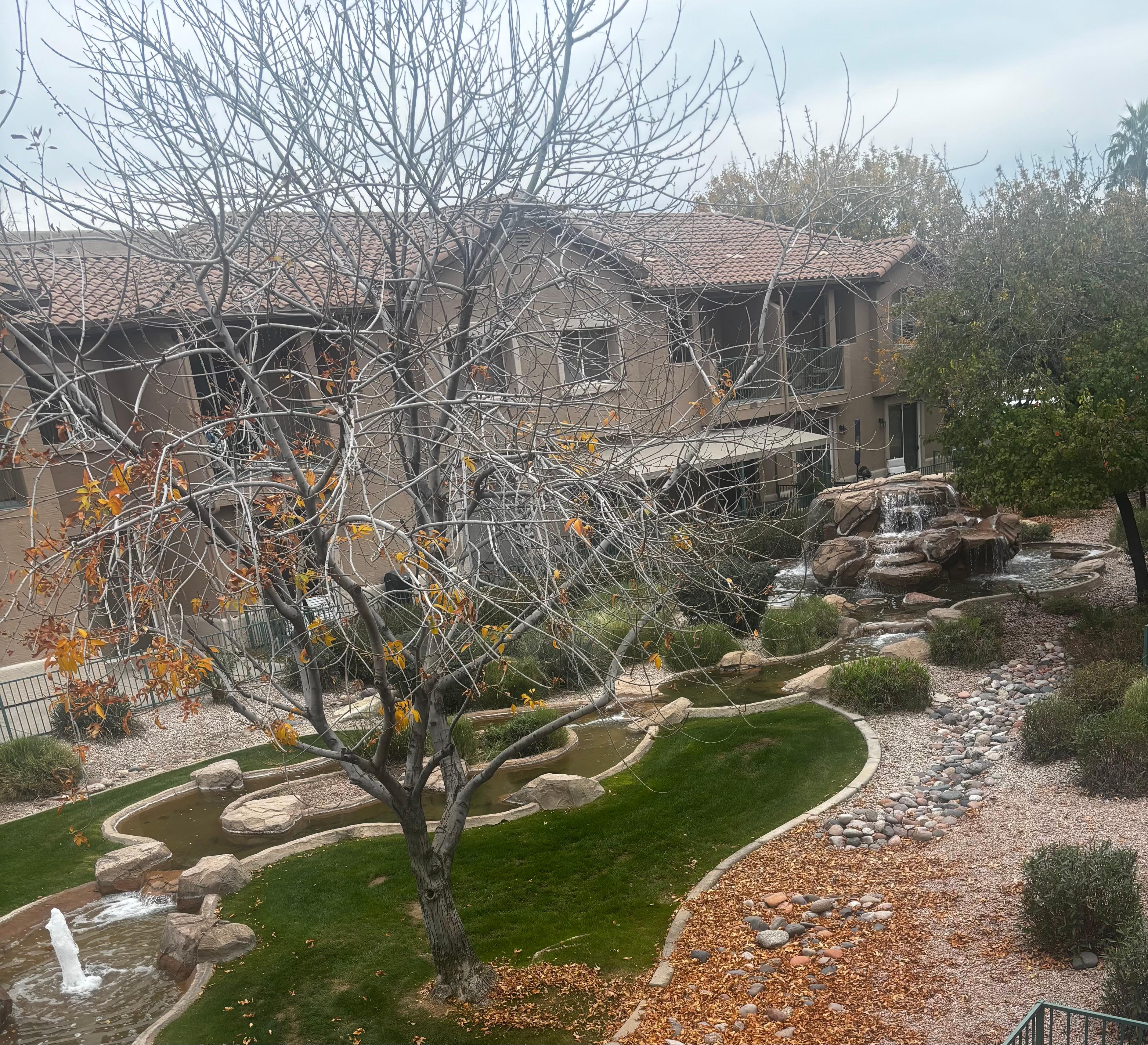 Relaxing view from the balcony. 