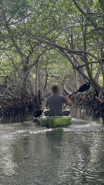 Kayaking through the mangroves