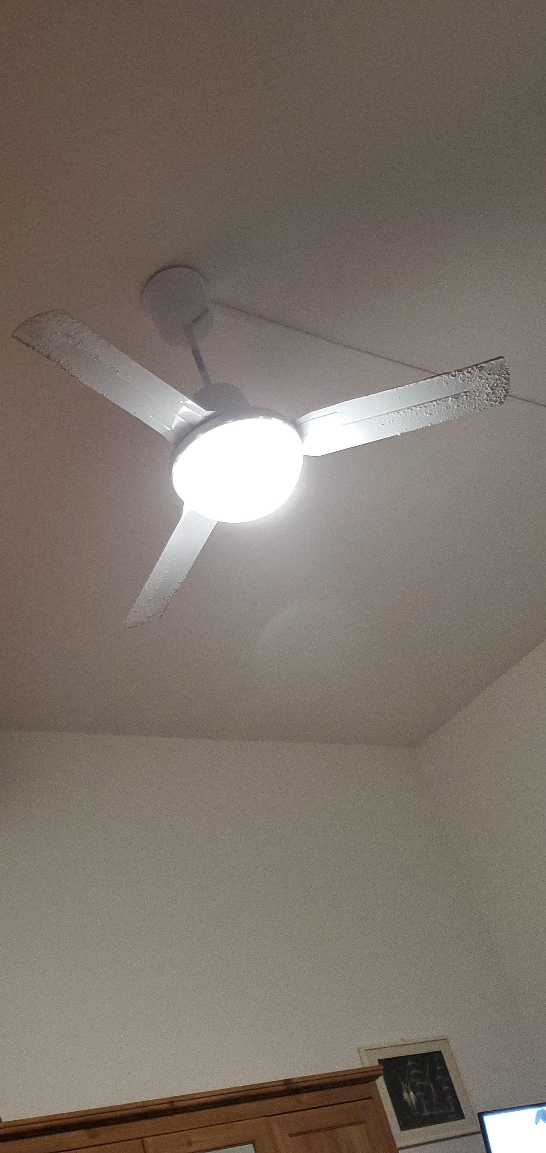 Mind rhe blades they may be spinning at high speed