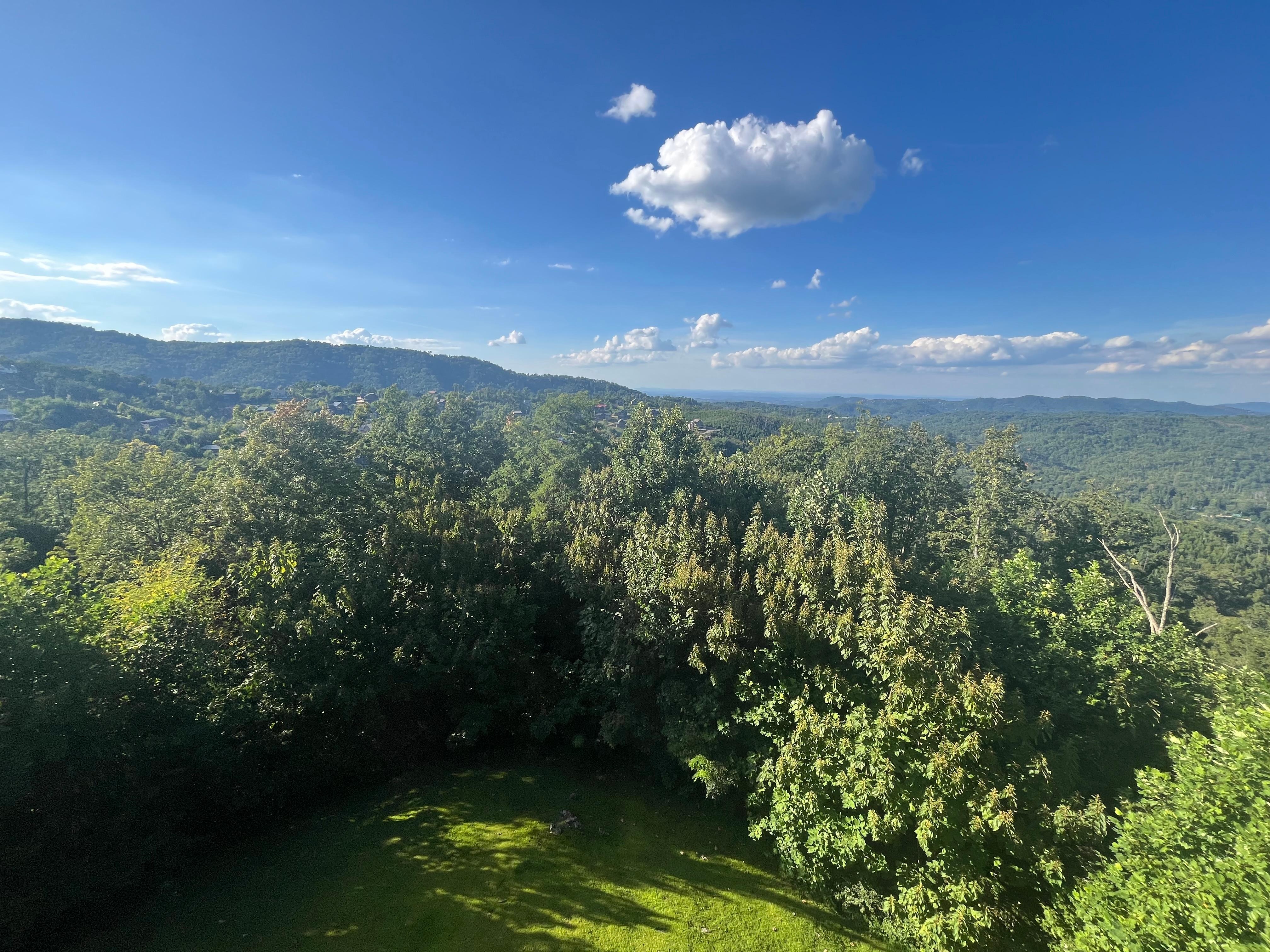 The view from the deck. 