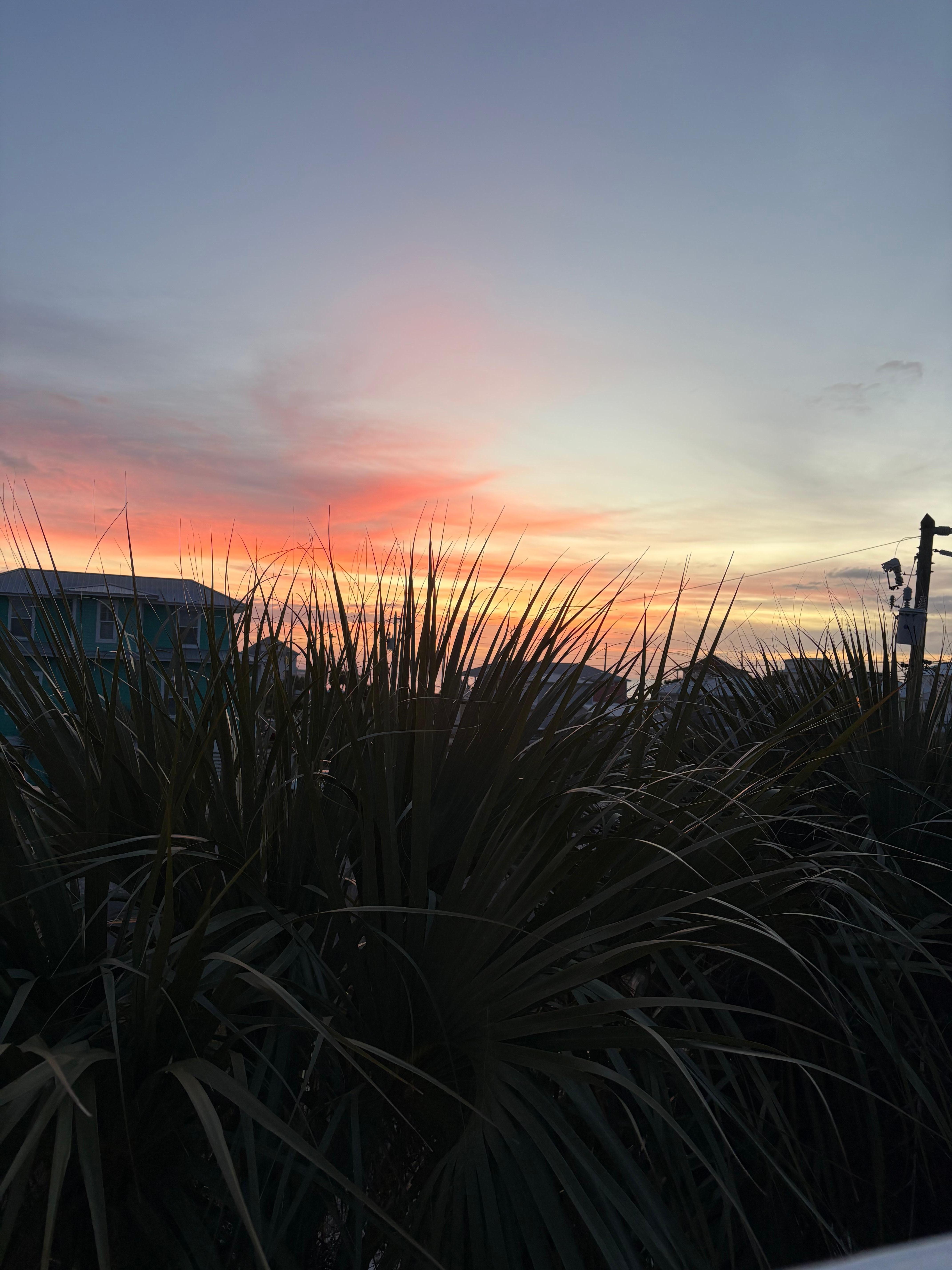 Sunset from the top deck. 
