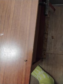 The first roach I saw. Before I even opened the drawer I went to my car and got my can of DEEP WOODS OFF.