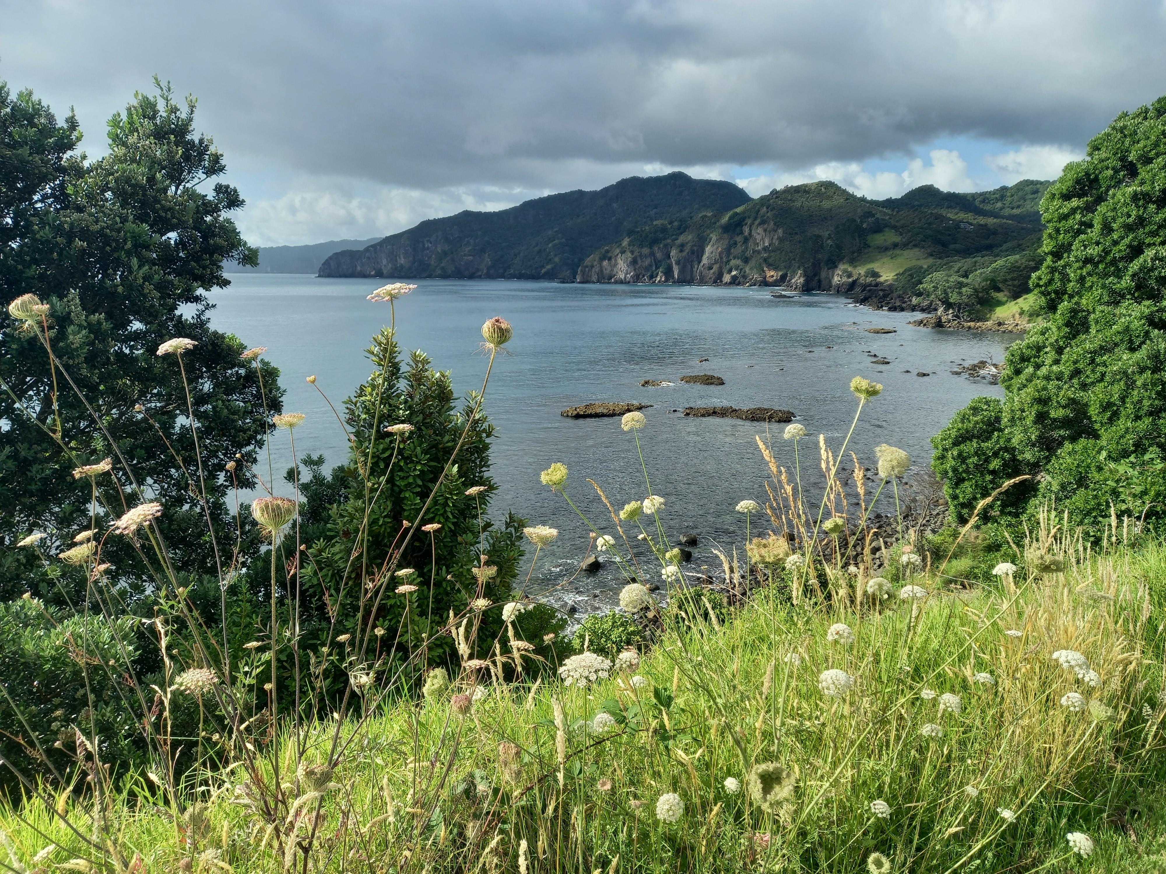 View from bottom of the hill nearby