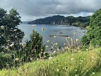 View from bottom of the hill nearby