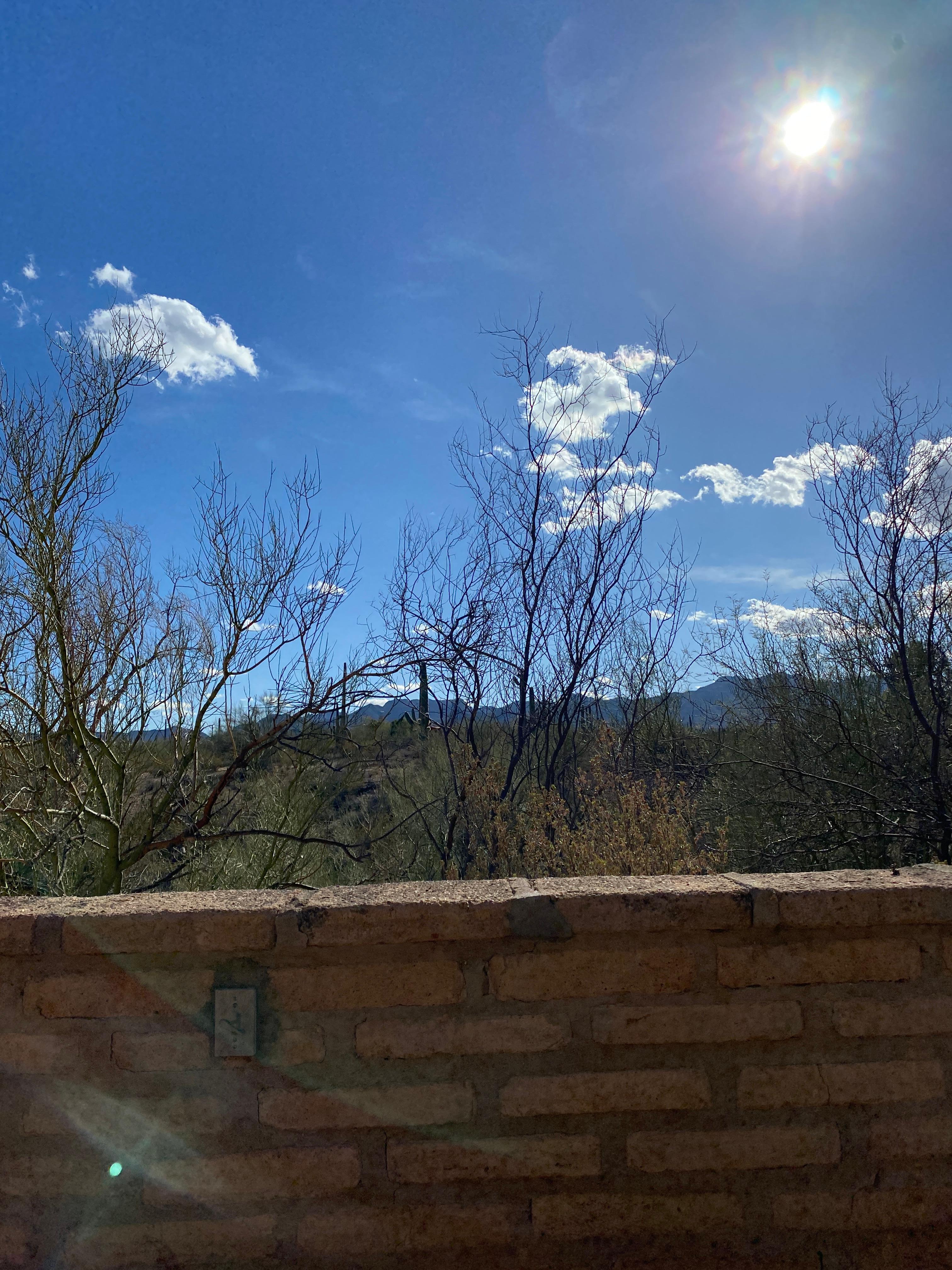 From the porch.