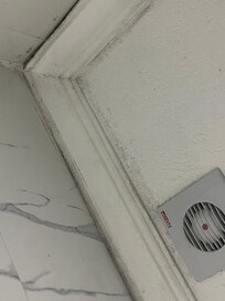 Mold in the shower