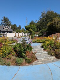 An area outside our window and viewable to everyone, of beautiful flowers and a bench to relax.