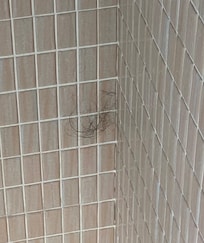 Hairball in shower when we arrived