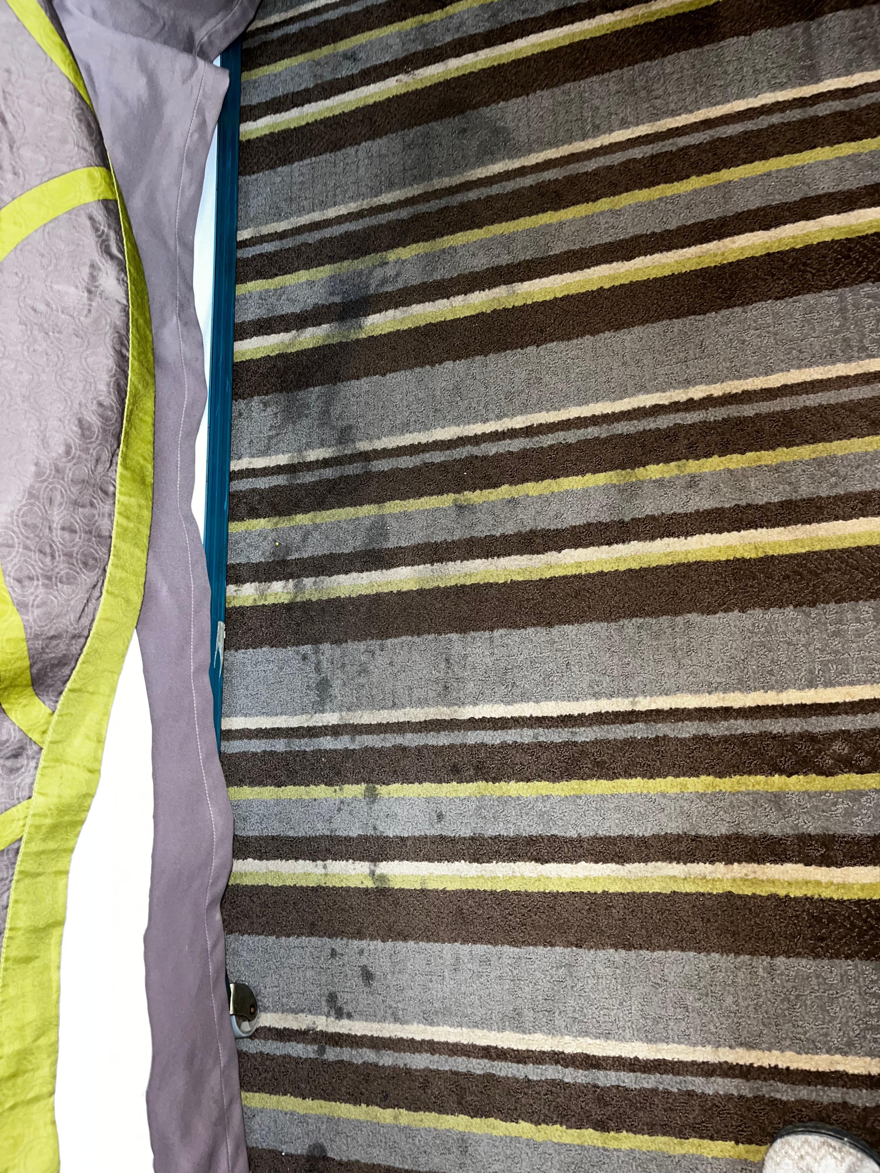 Stains all over the entire rug in room