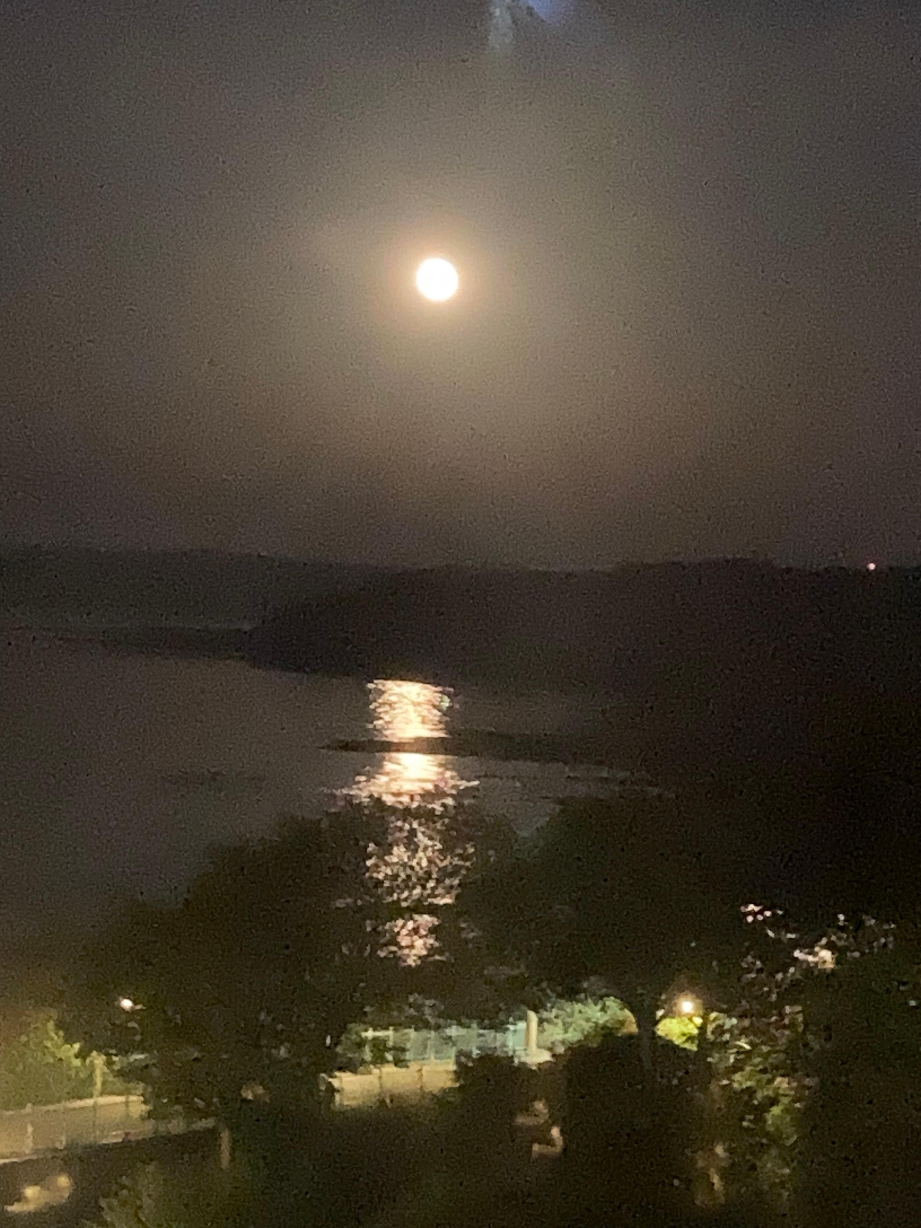 View from the window