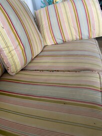 Stains and dried food on sofa