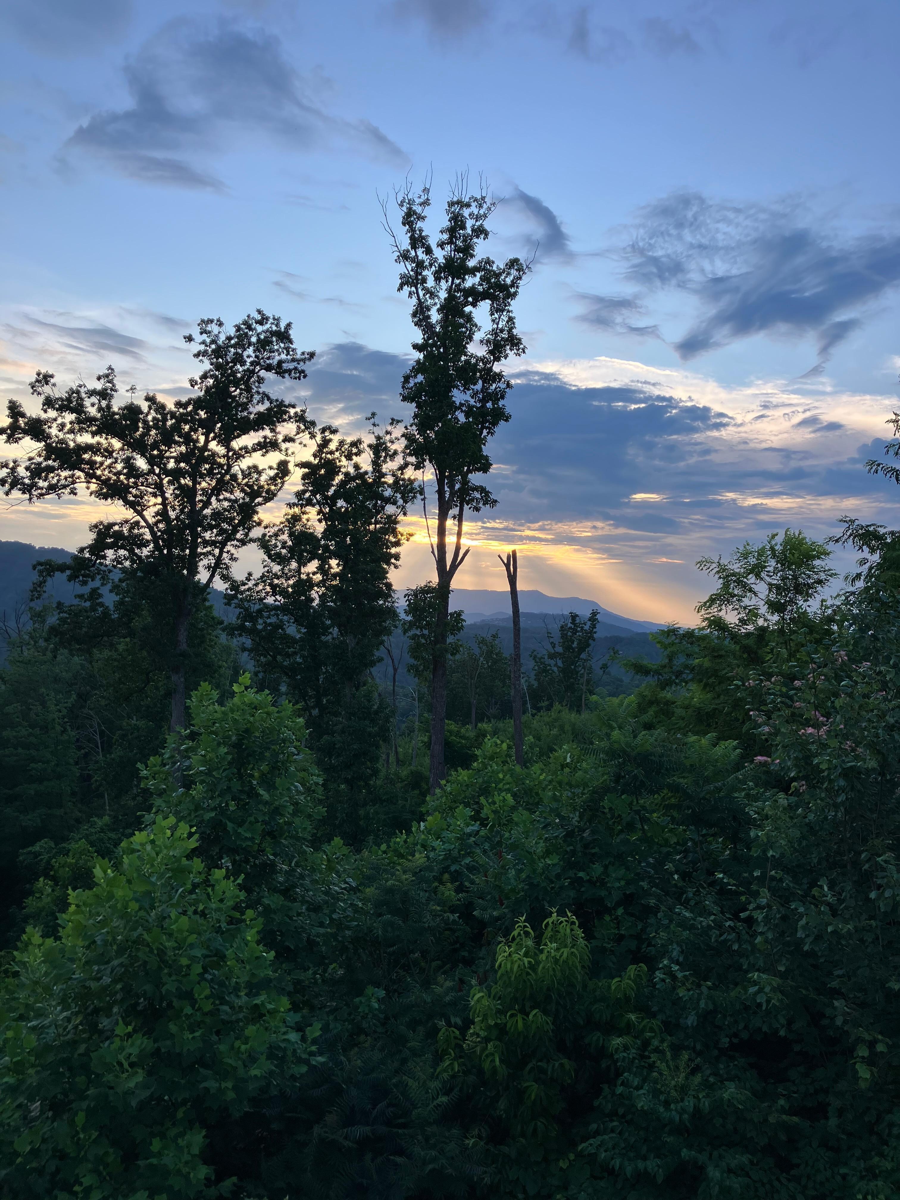 Beautiful sunset.
