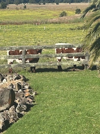 Welcoming neighbours.