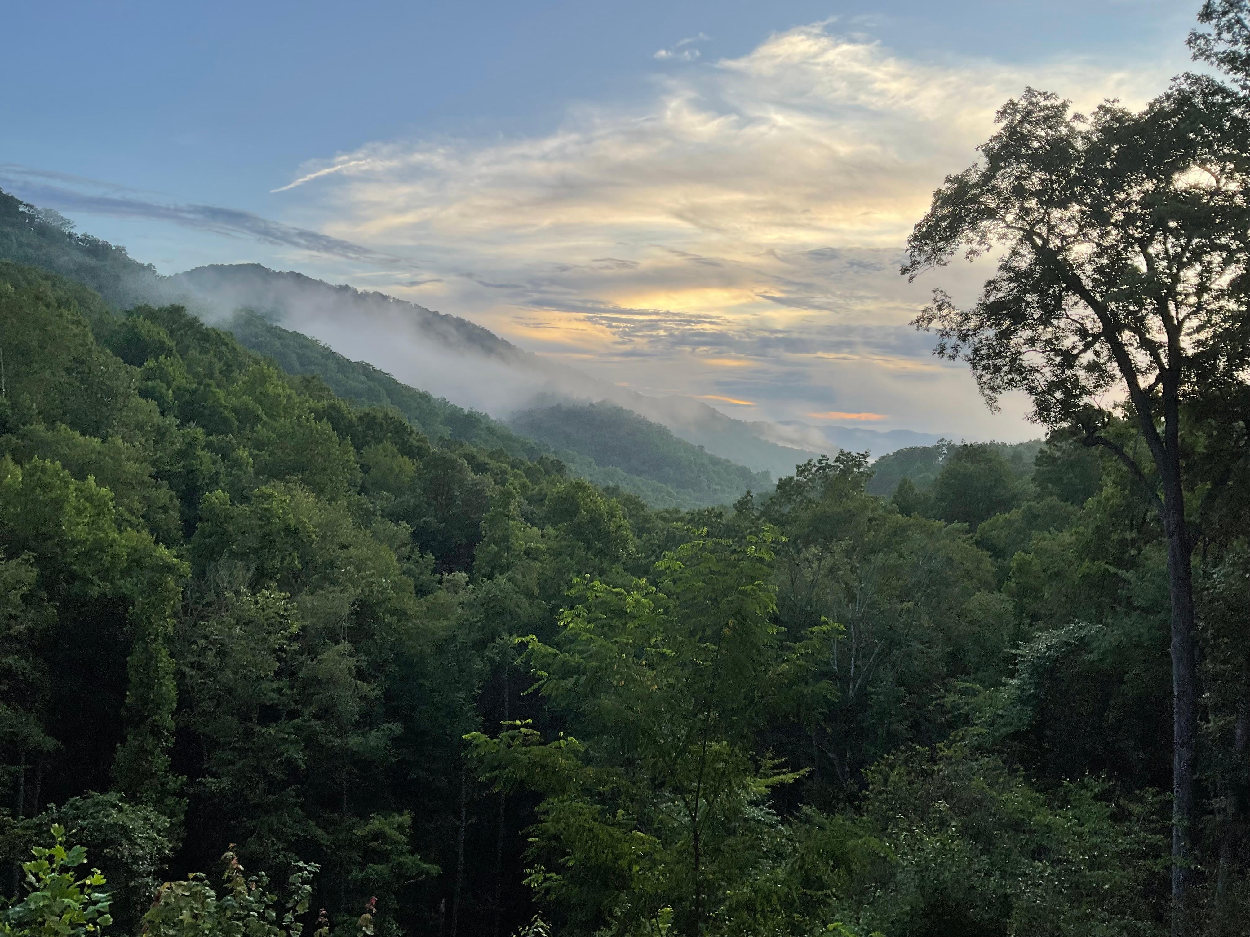 Our view from the back deck.