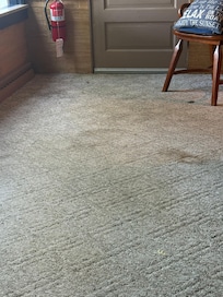 Filthy carpet