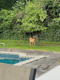 Brick loose by the pool