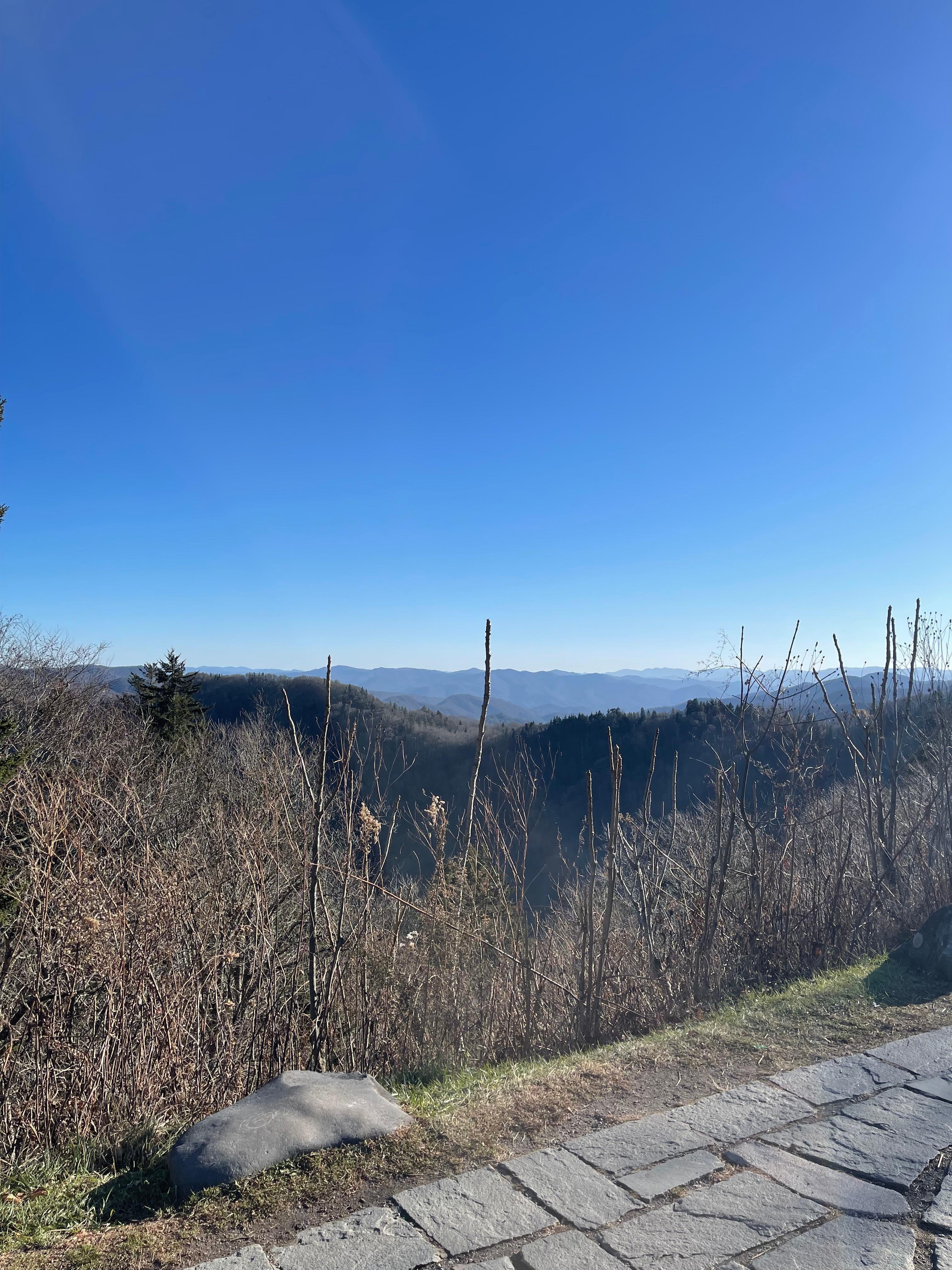 View off main level deck