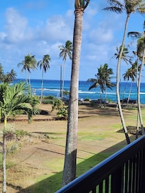 The view from our hale