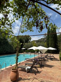 Pool is very large with plenty of lounge chairs and umbrellas. No diving board though.