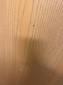 roaches.. and there are more than that