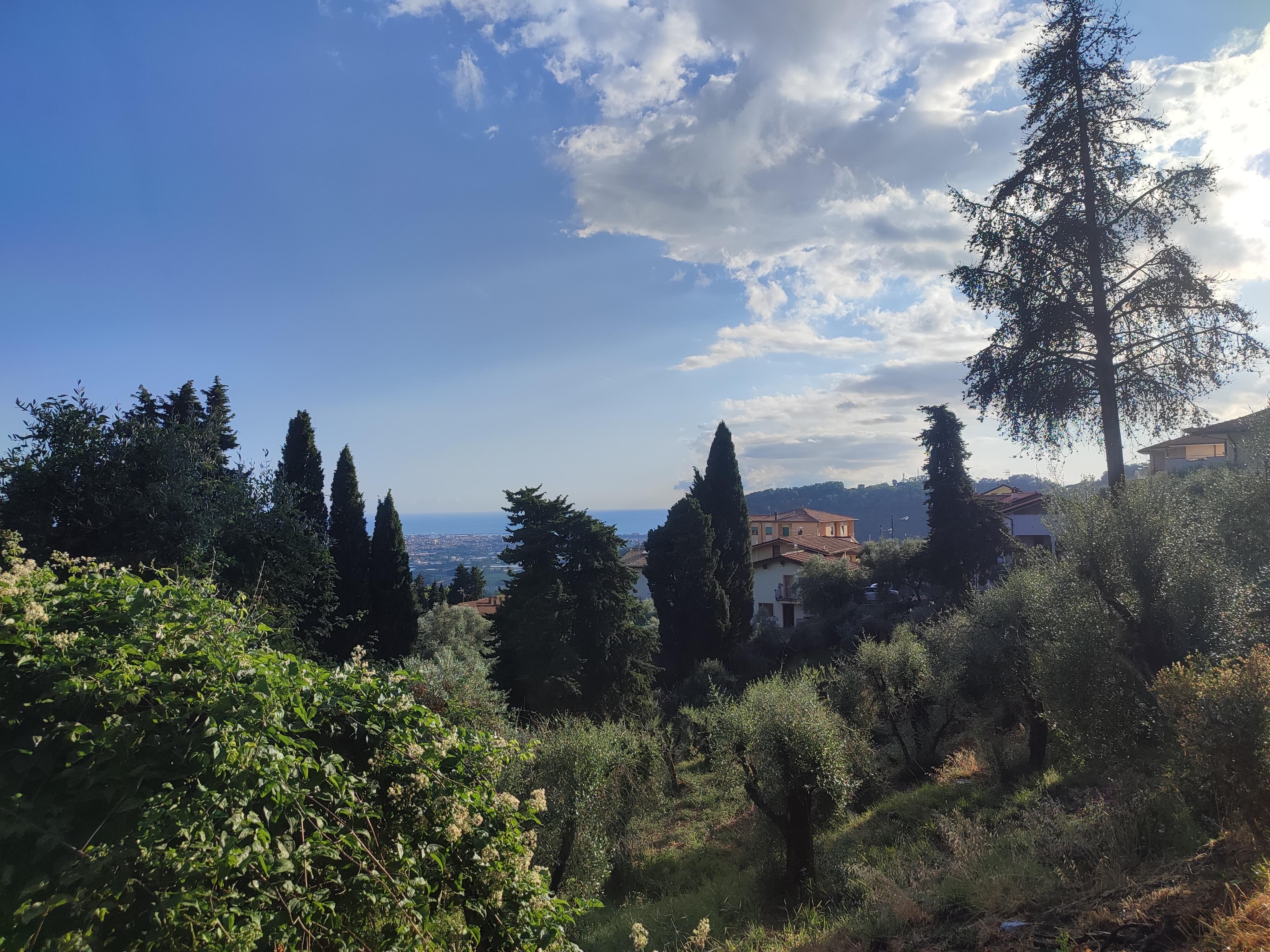 Vue en bas de la maison de Monica 
