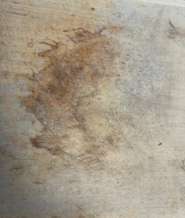 Moldy cutting board.