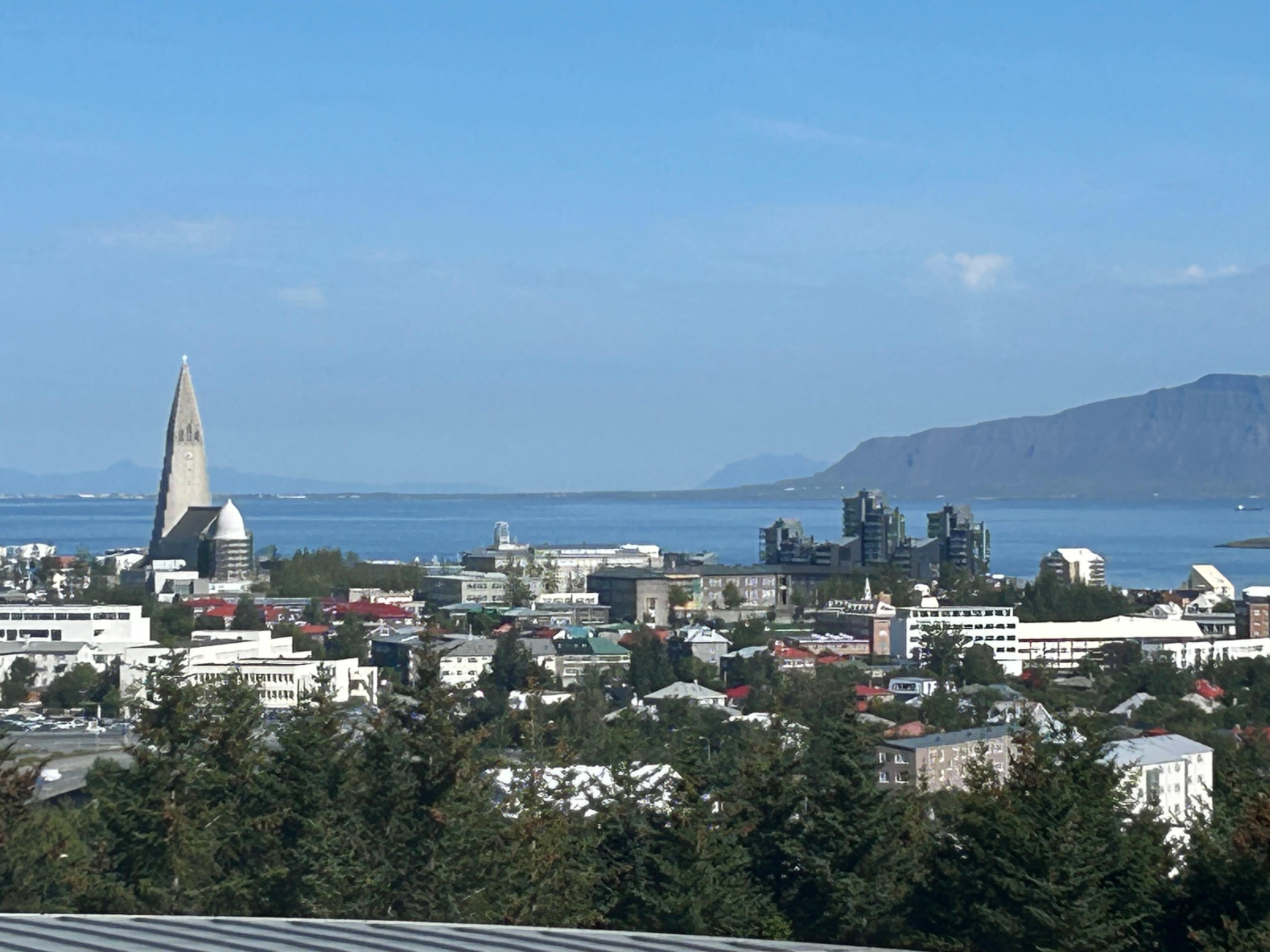 View from Perlan
