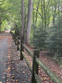 Georgetown/Lewes trail