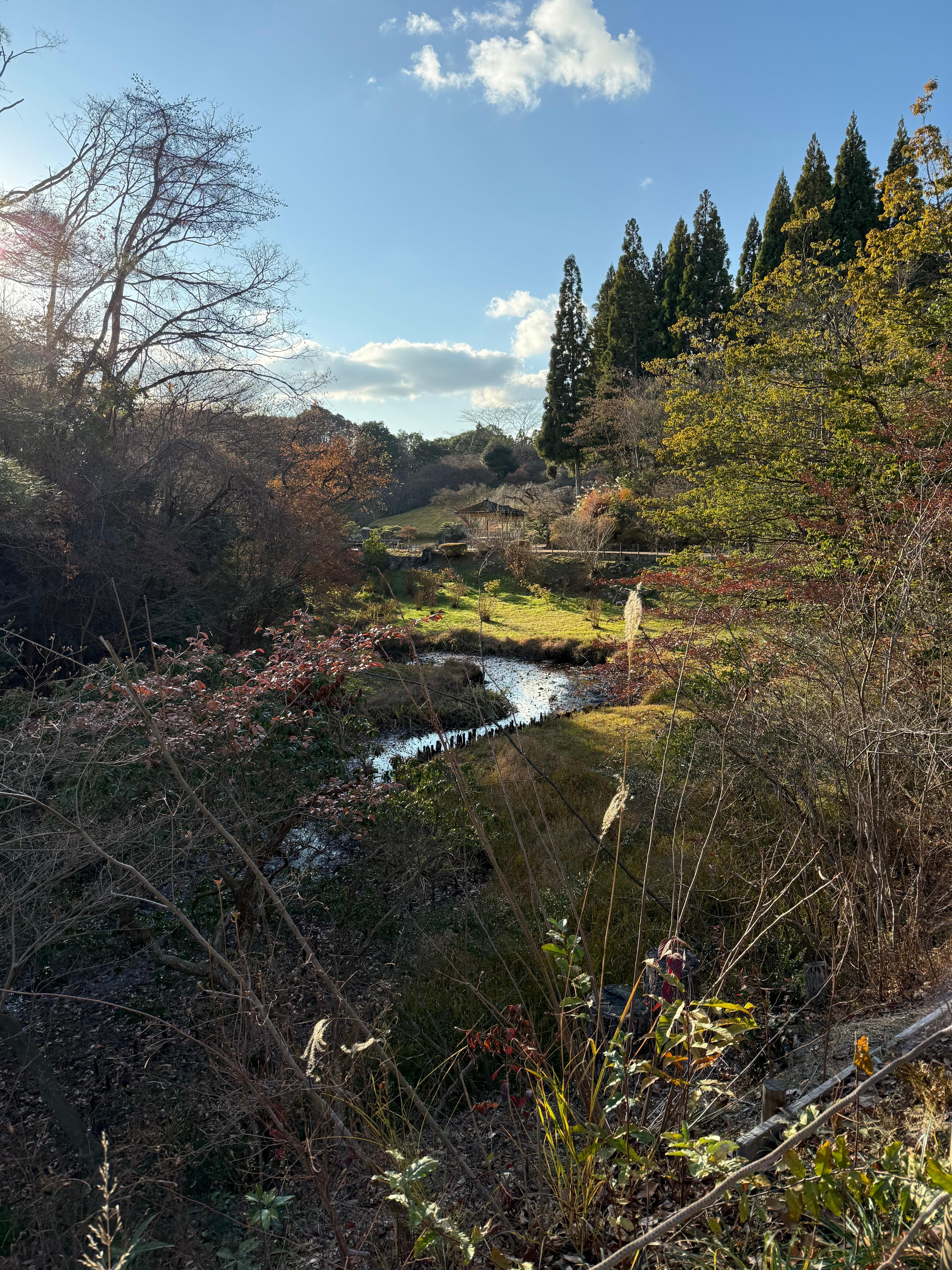 Park grounds next door 
