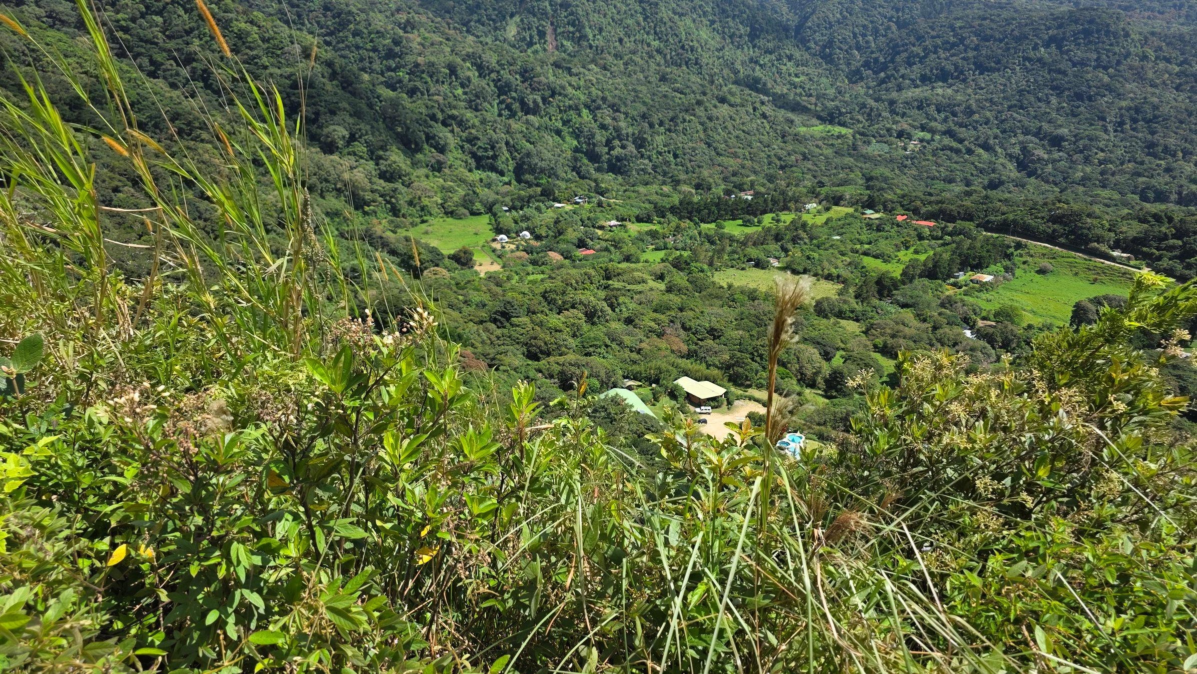House location from above. 