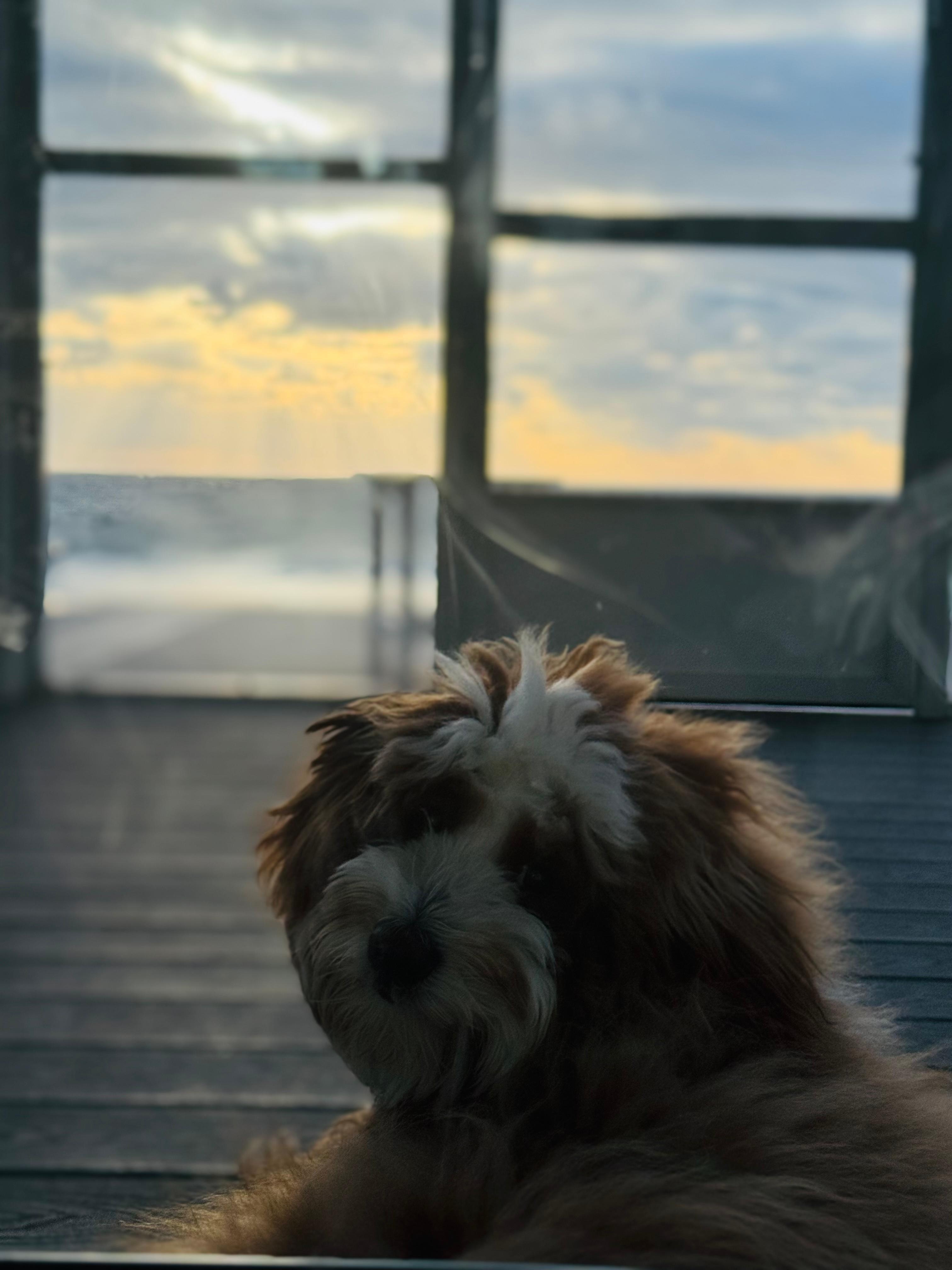 Sitting on the enclosed patio looking out over the pool to the beach.