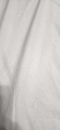downstairs master bedroom hair in the bed