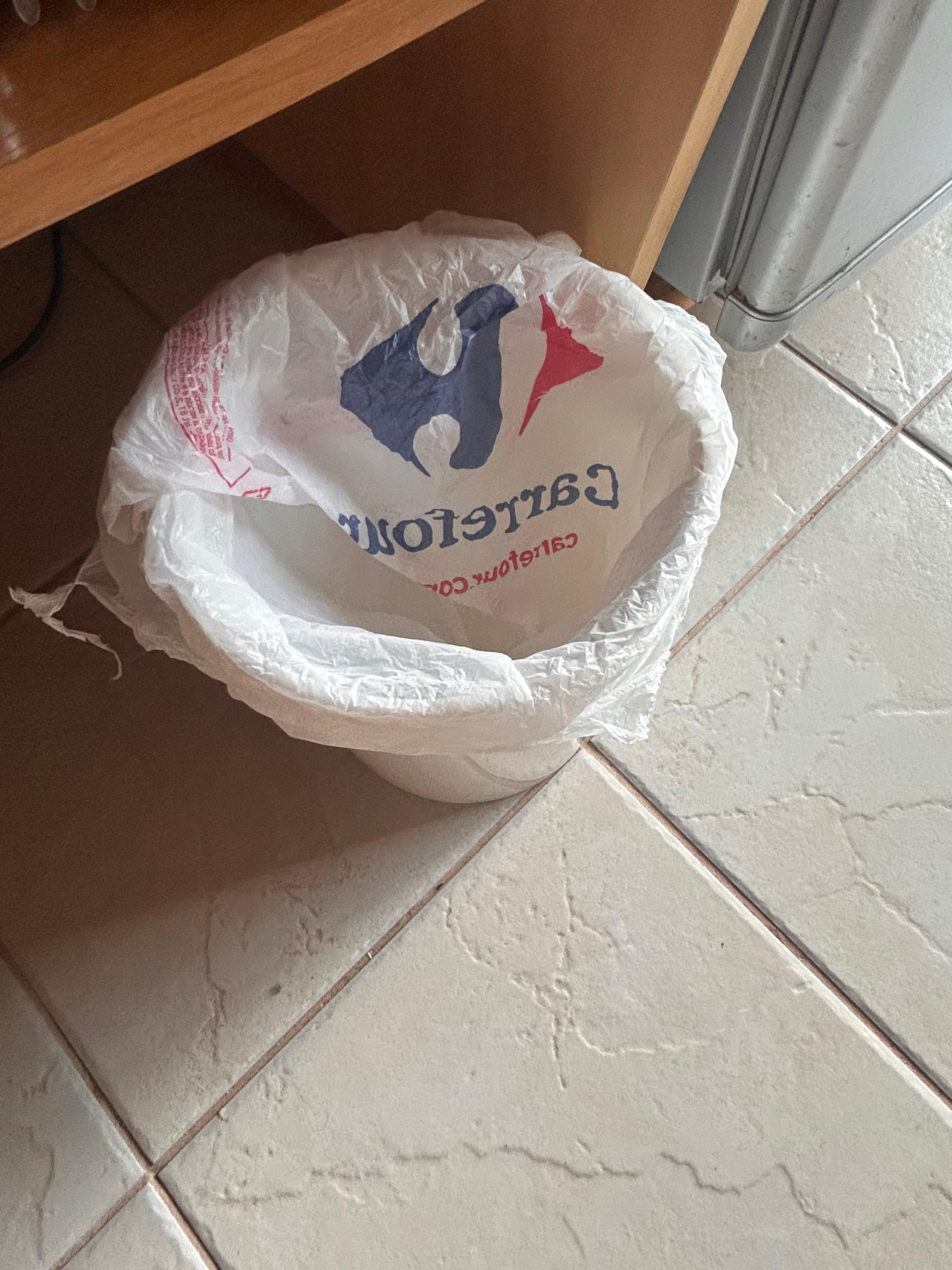 Eu que tirava o lixo , e tinha que colocar sacolinhas que tinha na bolsa