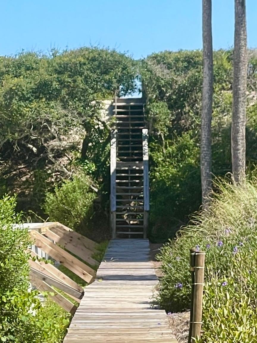 Boardwalk and steps at beach access