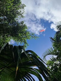 Sur la terrasse