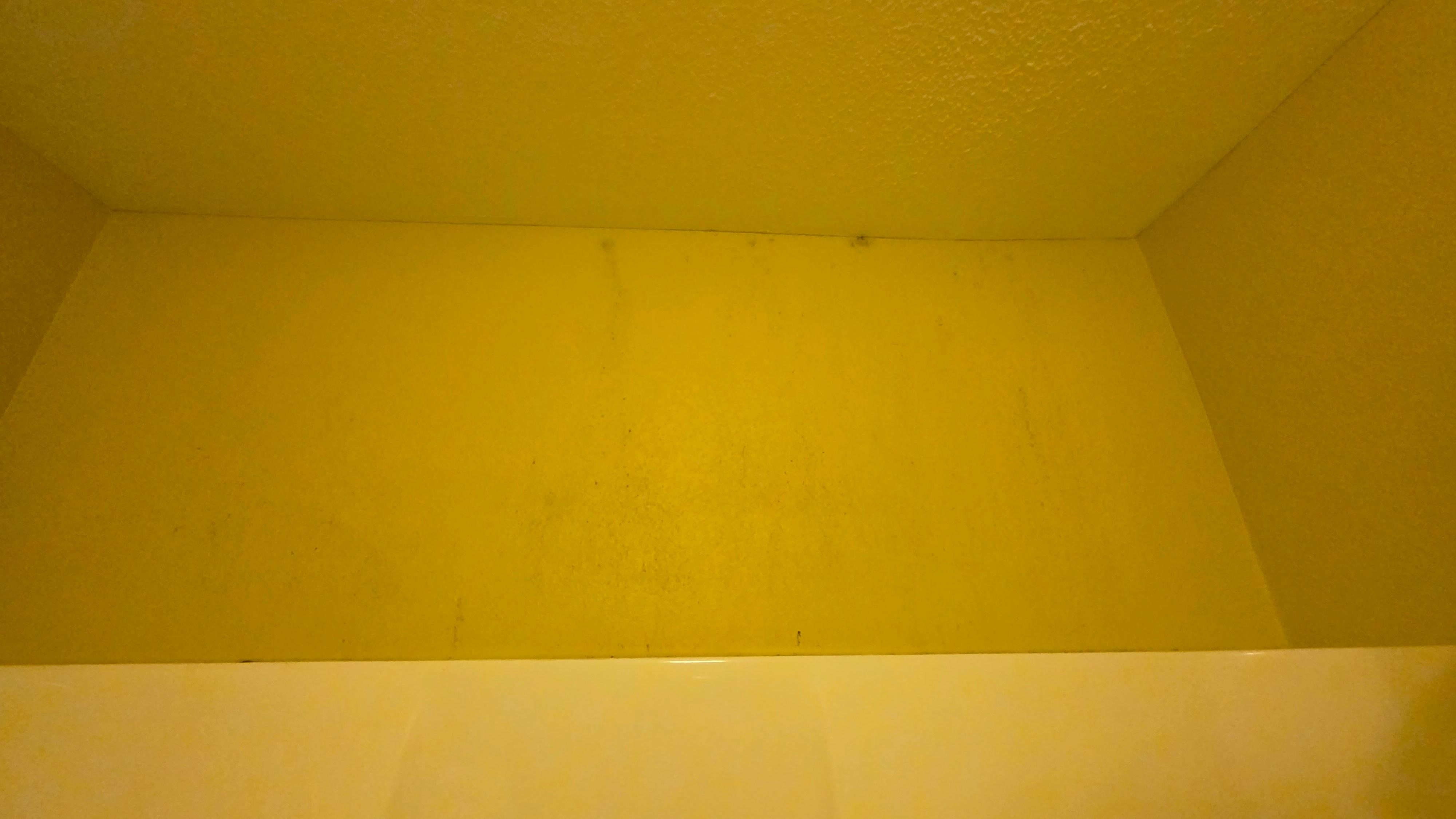 Mold on walls in bathroom. It's not hard to wipe off, so why not do it? Because they don't care.