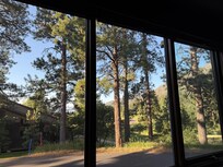 View from the downstairs bedroom