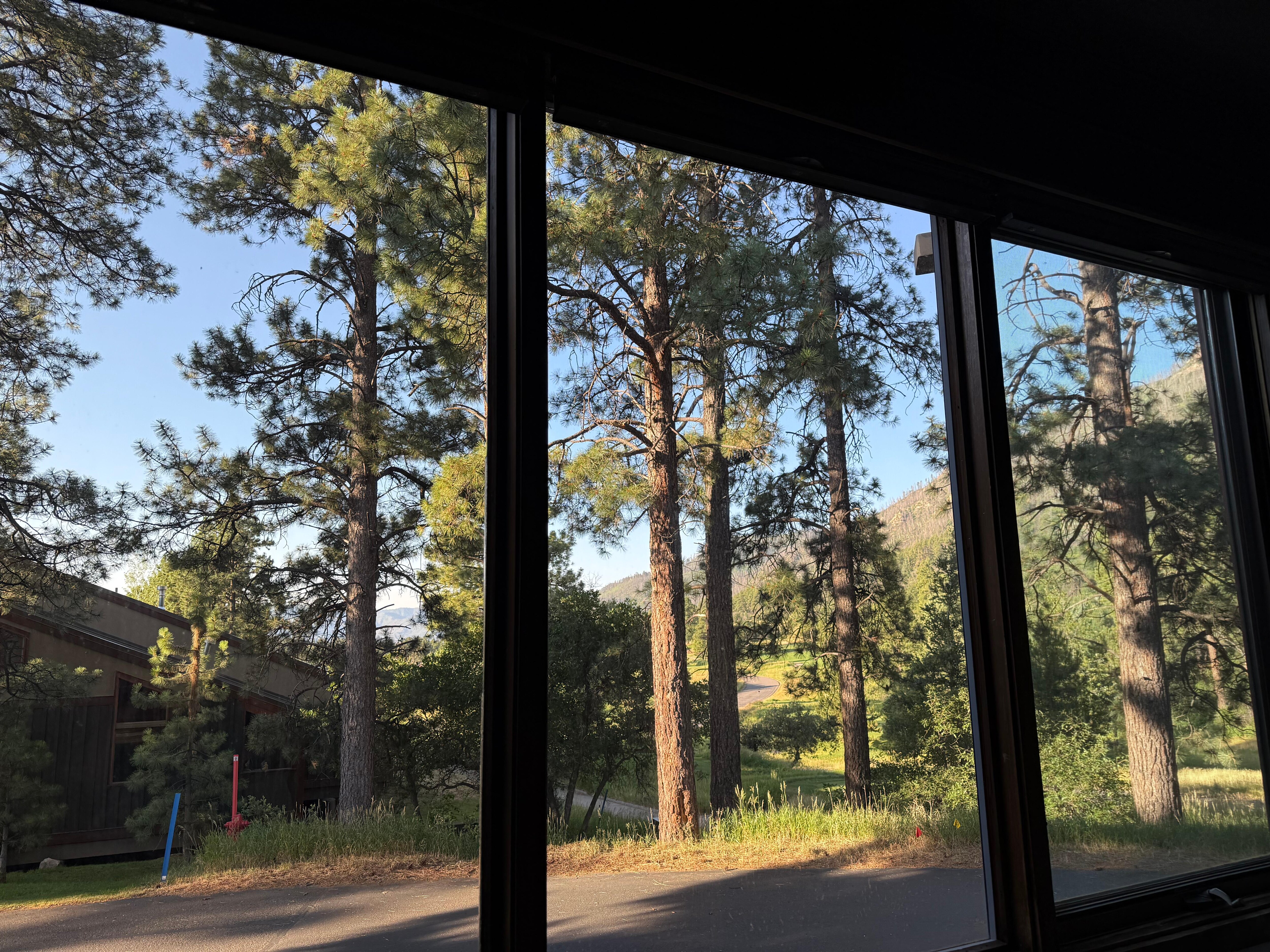 View from the downstairs bedroom
